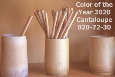 Yılın Rengi 2020 Cantaloupe 020-72-30, bir rafta bambu tüpler ile ahşap gözlük