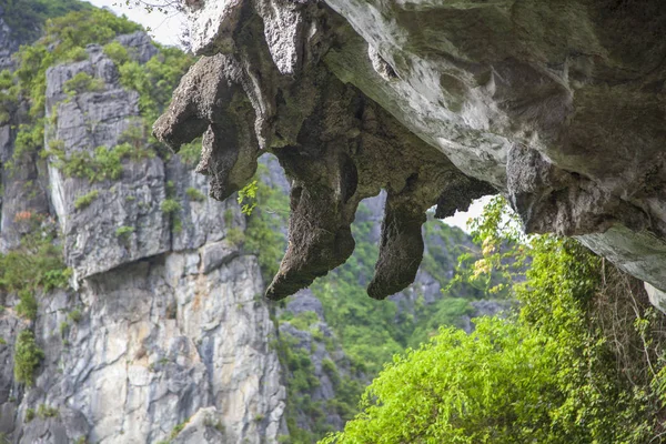 Patrimonio Naturale Mondiale Dell Unesco Vietnam Roccia Come Gambe Uomo — Foto Stock