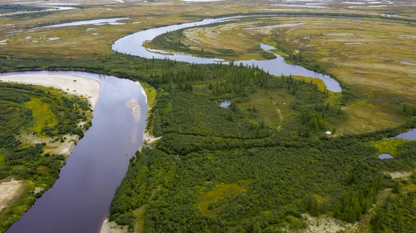 Paisaje Selva Tundra Orilla Del Río Arenoso Vista Pájaro Círculo —  Fotos de Stock