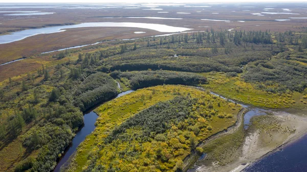 Paisaje Selva Tundra Orilla Del Río Arenoso Vista Pájaro Círculo —  Fotos de Stock