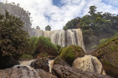 Fil Şelalesi. Dalat. Vietnam. Vietn'in orta yaylasında