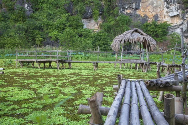 Ninh Binh, Vietnam, hermoso paisaje de arrozales entre los — Foto de Stock