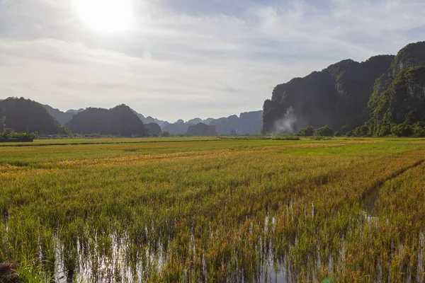 Ninh Binh, Vietnã, bela paisagem de campos de arroz entre os — Fotografia de Stock