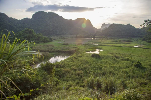 Ninh Binh, В'єтнам, красивий ландшафт рисових полів серед — стокове фото