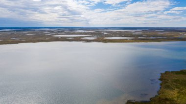 Orman-tundra manzarası ve kumlu nehir kıyısı, kuş bakışı. Kuzey Kutup Dairesi, Tunda. Helikopterden güzel tundra manzarası.