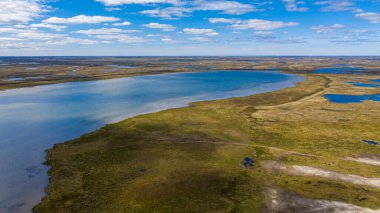 Orman-tundra manzarası ve kumlu nehir kıyısı, kuş bakışı. Kuzey Kutup Dairesi, Tunda. Helikopterden güzel tundra manzarası.