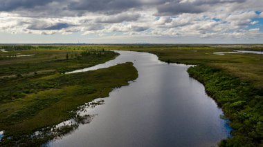 Orman-tundra manzarası ve kumlu nehir kıyısı, kuş bakışı. Kuzey Kutup Dairesi, Tunda. Helikopterden güzel tundra manzarası.