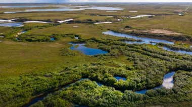 Orman-tundra manzarası ve kumlu nehir kıyısı, kuş bakışı. Kuzey Kutup Dairesi, Tunda. Helikopterden güzel tundra manzarası.