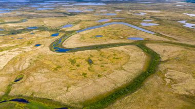 Orman-tundra manzarası ve kumlu nehir kıyısı, kuş bakışı. Kuzey Kutup Dairesi, Tunda. Helikopterden güzel tundra manzarası.