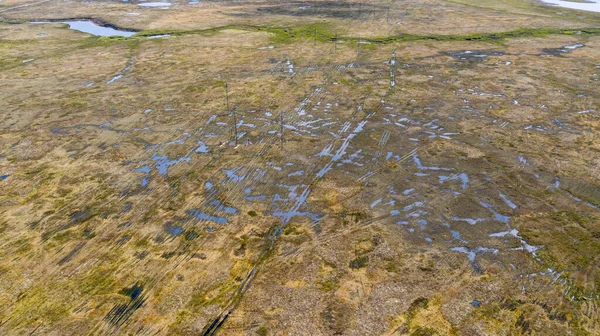 Paisaje Selva Tundra Vista Aérea Rastros Equipo Oruga Superficie Vegetación — Foto de Stock