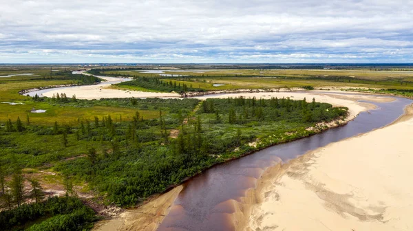 Paisaje Selva Tundra Orilla Del Río Arenoso Vista Pájaro Círculo —  Fotos de Stock