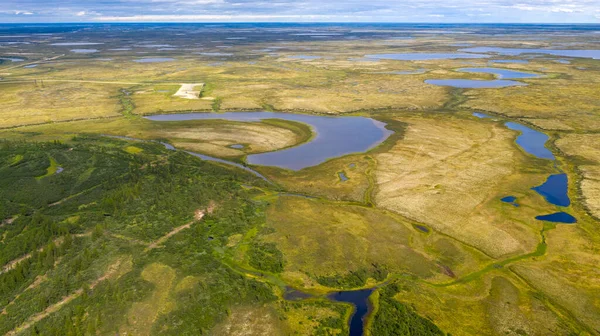 Paisaje Selva Tundra Orilla Del Río Arenoso Vista Pájaro Círculo —  Fotos de Stock