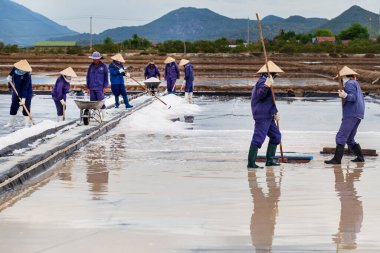 Khanh Hoa, Vietnam - 7 Temmuz 2016: Nha Trang 'ın 40 kilometre kuzeyinde insanlar tuz topluyor
