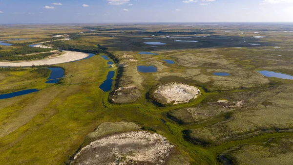 Orman-tundra manzarası ve kumlu nehir kıyısı, kuş bakışı. Kuzey Kutup Dairesi, Tunda. Helikopterden güzel tundra manzarası.
