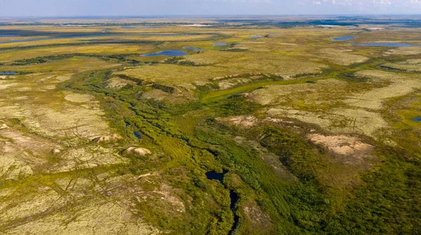 Landscape Forest Tundra Sandy River Bank Bird Eye View Arctic Royalty Free Stock Photos