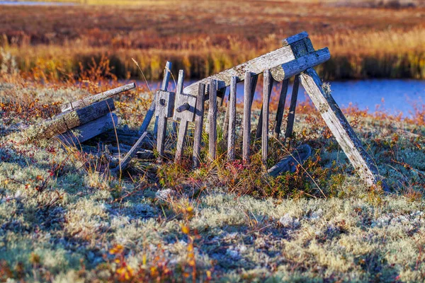 Тундра Старая Деревянная Ловушка Арктического Лиса Крайнем Севере — стоковое фото
