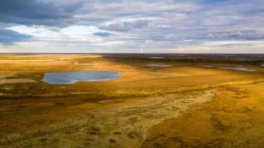 Sonbaharda orman-tundra manzarası ve kumlu nehir kıyısı, kuş bakışı. Kuzey Kutup Dairesi, Tunda. Helikopterden güzel tundra manzarası.