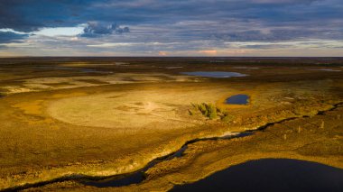 Sonbaharda orman-tundra manzarası ve kumlu nehir kıyısı, kuş bakışı. Kuzey Kutup Dairesi, Tunda. Helikopterden güzel tundra manzarası.