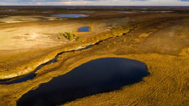 Sonbaharda orman-tundra manzarası ve kumlu nehir kıyısı, kuş bakışı. Kuzey Kutup Dairesi, Tunda. Helikopterden güzel tundra manzarası.