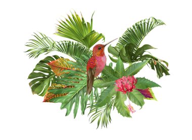 Sinek kuşu tropic kompozisyon