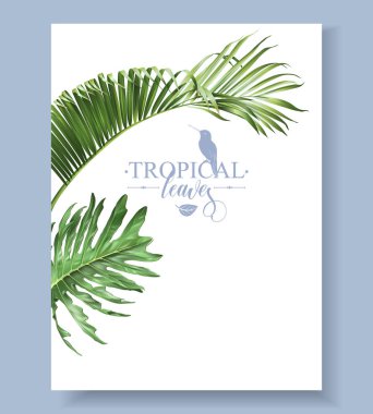 Tropical leaves frame clipart
