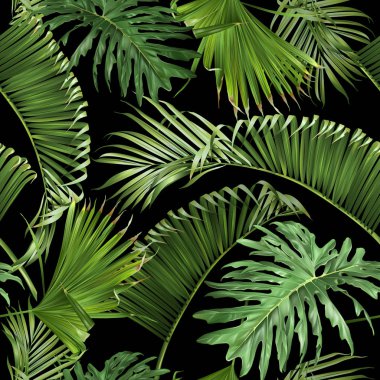 Tropikal yaprak siyah desen