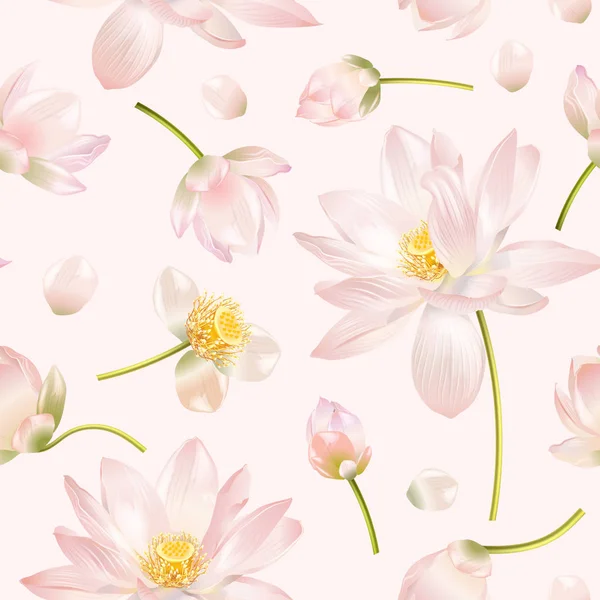 Lotus blommönster — Stock vektor