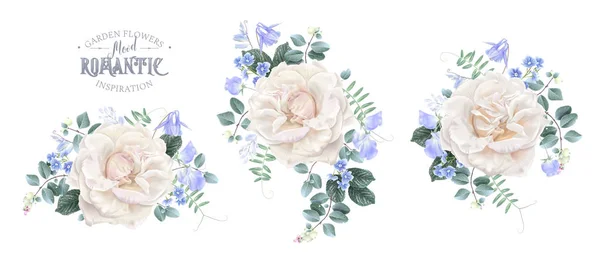 Conjunto floral vintage vetorial com rosas brancas —  Vetores de Stock