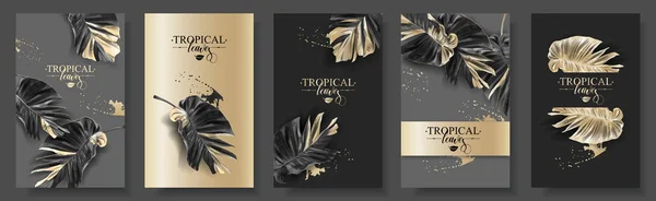 Conjunto de banner de hoja de alocasia tropical negro y oro — Vector de stock