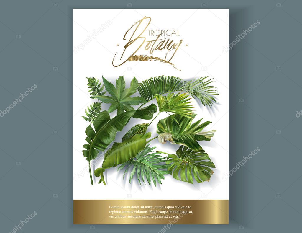 Vector banner with tropical leaves on white