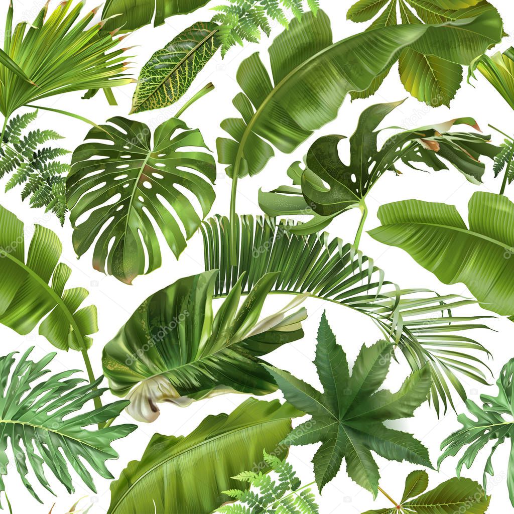 Vector seamless pattern with green tropical leaves