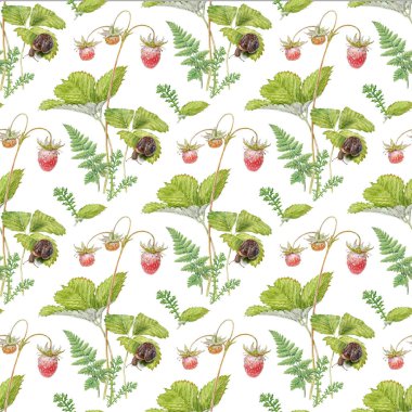 Orman stawberry ve salyangoz suluboya afiş