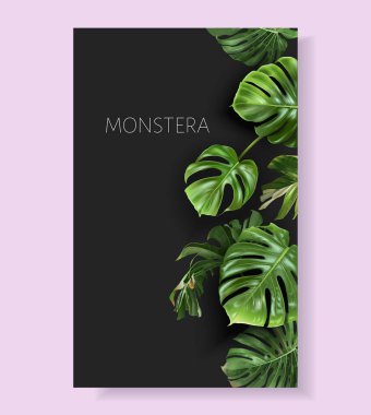 Vector monstera border with green tropical leaves clipart