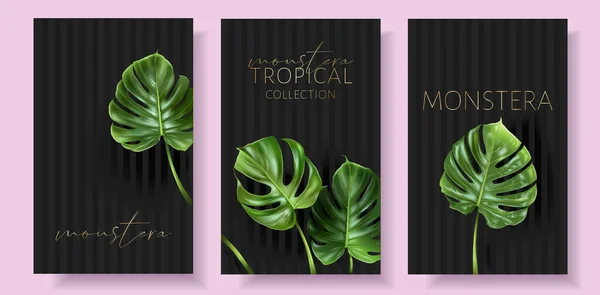 Vector Monstera Banner mit grünen tropischen Blättern — Stockvektor