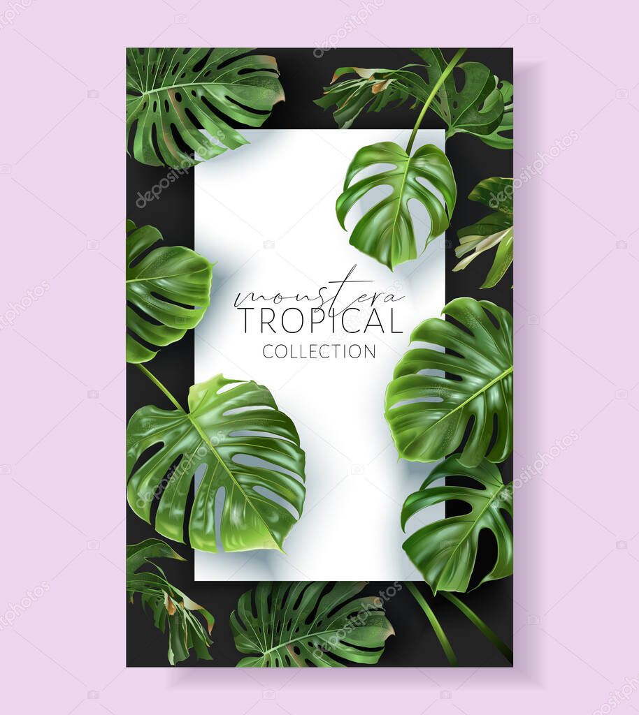 Vector monstera frame with green tropical leaves