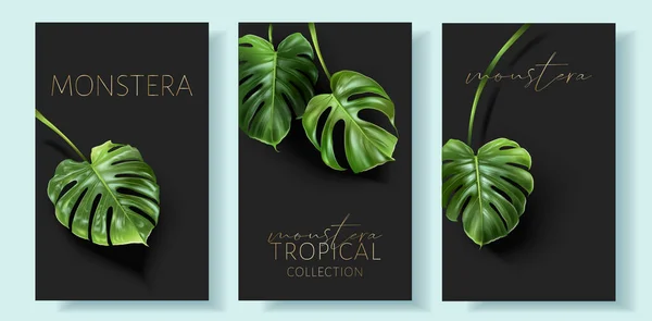 Vector Monstera Banner mit grünen tropischen Blättern — Stockvektor