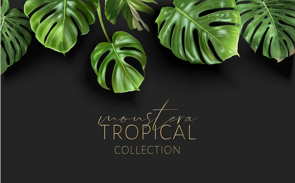 Cornice monstera vettoriale con foglie tropicali verdi — Vettoriale Stock