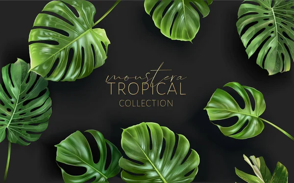 Marco vectorial monstera con hojas tropicales verdes — Vector de stock