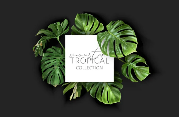 Cornice monstera vettoriale con foglie tropicali verdi — Vettoriale Stock