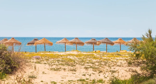 Geleneksel sahil algarve şemsiye altında bir bahar gününde denize bakarak hangi insanlar sit