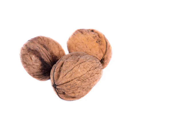 Group Seasonal Autumn Nuts Isolated White Background — Stock Photo, Image