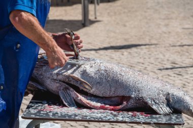 Setubal, Portekiz - 8 Ağustos 2018: turistler gözleri altında bir yaz gününde sokakta bir restoran önünde büyük bir balık ölçekler kaldırır adam