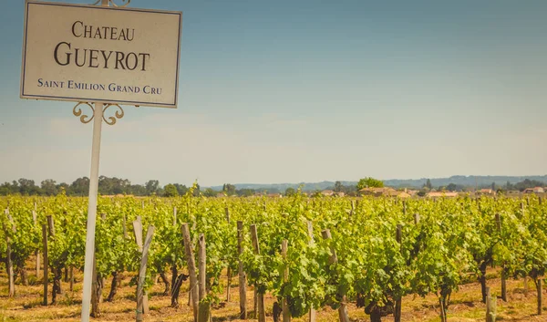 Saint Emilion Perto Bordeaux França Maio 2017 Vista Das Vinhas — Fotografia de Stock