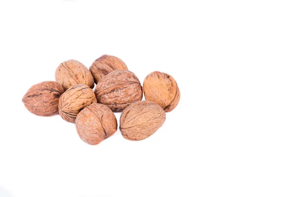 Group Seasonal Autumn Nuts Isolated White Background — Stock Photo, Image