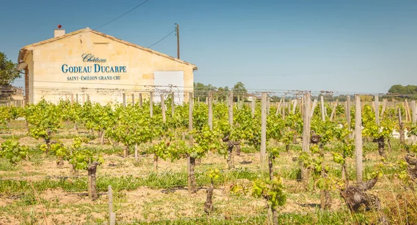 Saint Emilion France May 2017 Chateau Godeau Ducarpe Vineyard Spring — Zdjęcie stockowe