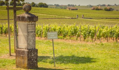 Saint Emilion, Fransa - 26 Mayıs 2017: bağ Cap d veya kale grand cru Saint Emillion şarap bir bahar gününde