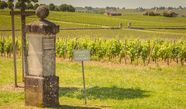 Saint Emilion France May 2017 Vineyard Cap Castle Spring Day — ストック写真