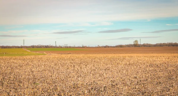 Vue Champ Dans Les Plaines Alsace France Hiver — Photo