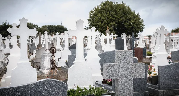 Ілюстрація старого кладовища з мармуровими та бетонними могилами — стокове фото