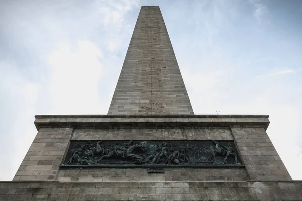 Wellington Svěžský obelisk v Phoenixském parku Dublinu, IR — Stock fotografie